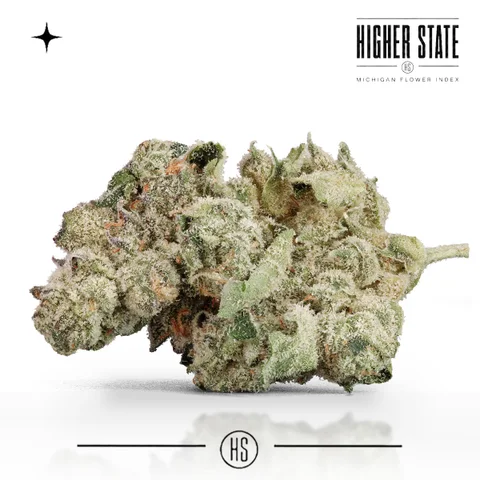 Monaco Haze by Goldkine — whole flower