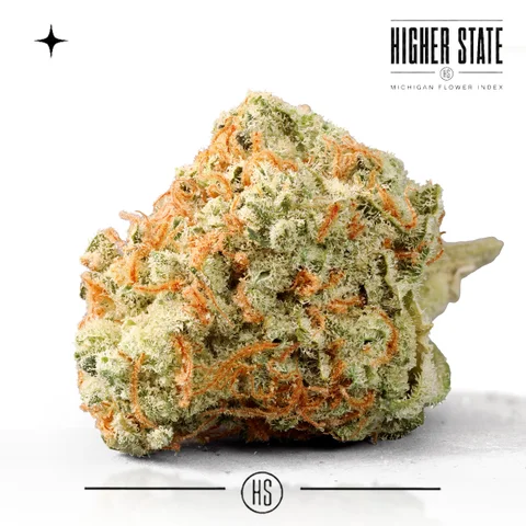 Tropicana Papaya by BAMN — whole flower