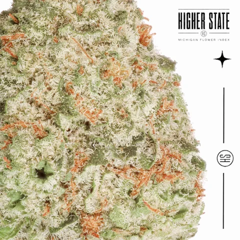 Duct Tape by Green Ganja — macro detail