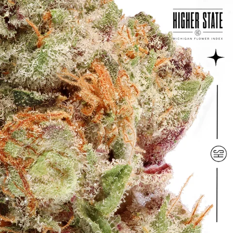 Shock Tartz by Dank & Disorderly — macro detail
