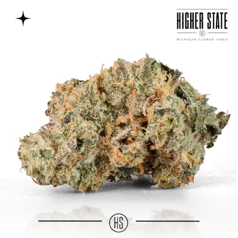 Gary Bird by Guerilla Grown — whole flower