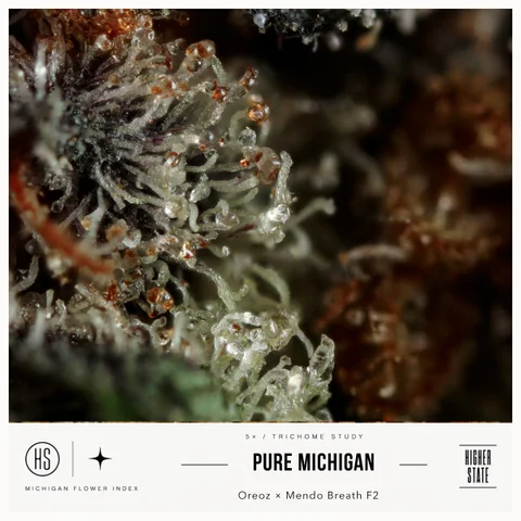 Pure Michigan by Cloud Farms — ultra-macro detail