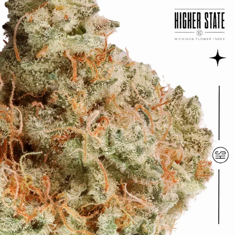 Purple Chem by Cali Blaze — macro detail