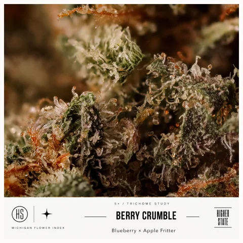 Berry Crumble by Objectiv Growth — ultra-macro detail