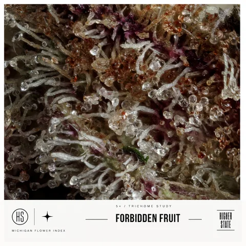 Forbidden Fruit by Common Citizen — ultra-macro detail