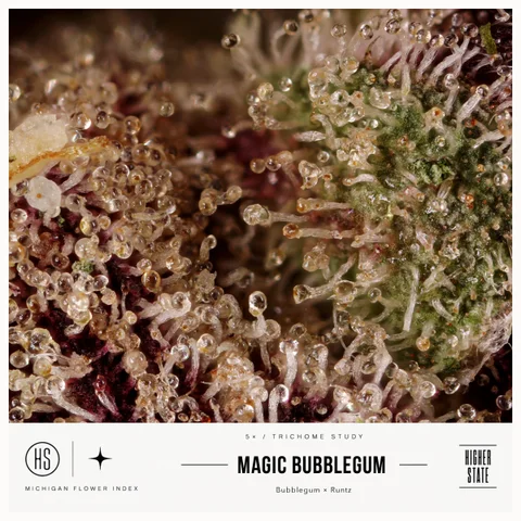 Magic Bubble Gum by Weed Snobs — ultra-macro detail