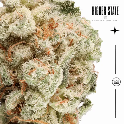 Grape Stomper Gelato by Cali Blaze — macro detail