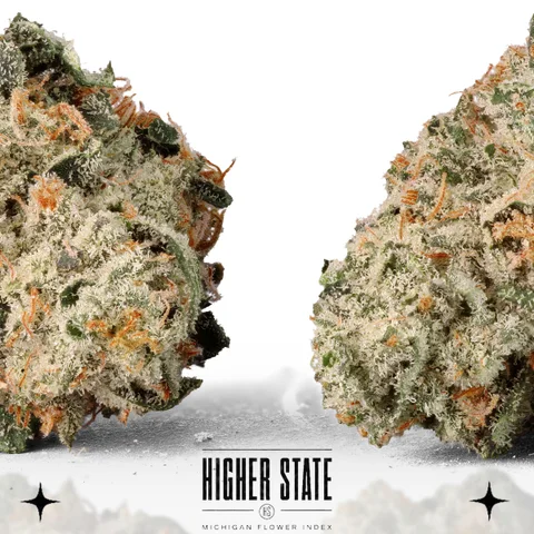 Purple Limeade by Guerilla Grown — flower detail