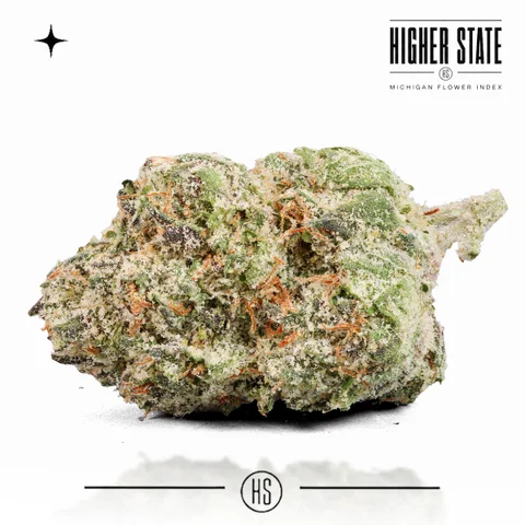 Popz 41 by Local Grove — whole flower