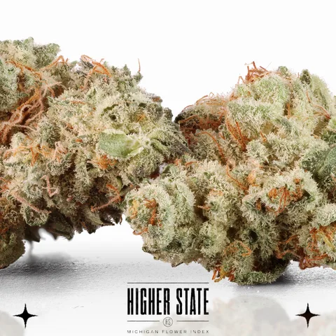 Grape Stomper by Cali Blaze — flower detail