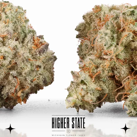 Purple Chem by Cali Blaze — flower detail