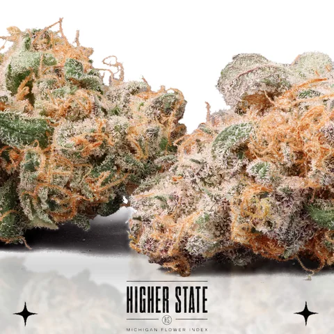 Orange Julius by Freedom Green — flower detail