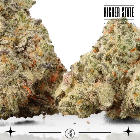 White Buffs by Dank & Disorderly — flower detail