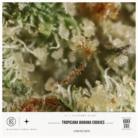 Tropicana Banana Cookies by Muskegon Grow Co. — ultra-macro detail