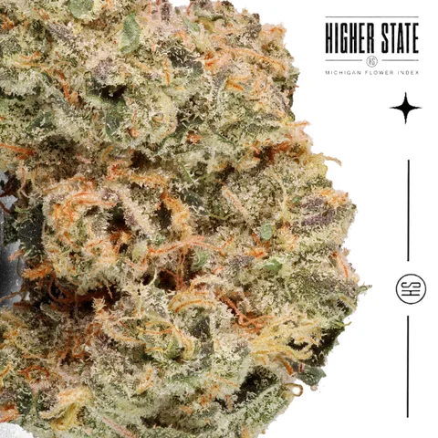 Gary Bird by Guerilla Grown — macro detail