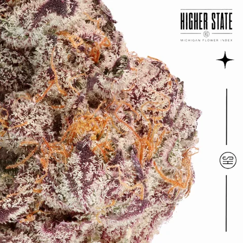 Blackberry Kush by BAMN — macro detail