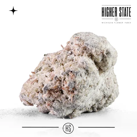 Berry Zelato by Superfire — whole flower