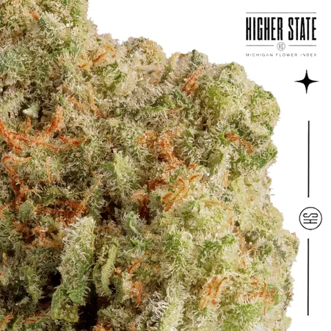 Jack Herer by Grown Rogue — macro detail
