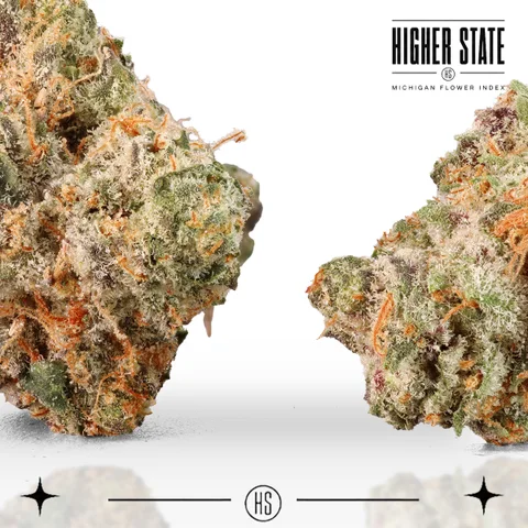 Shock Tartz by Dank & Disorderly — flower detail