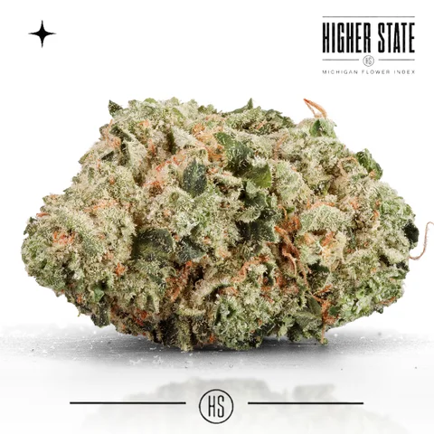 Legendary Fatso by One Garden — whole flower