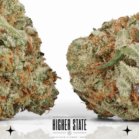 Tropicana Banana Cookies by Muskegon Grow Co. — flower detail