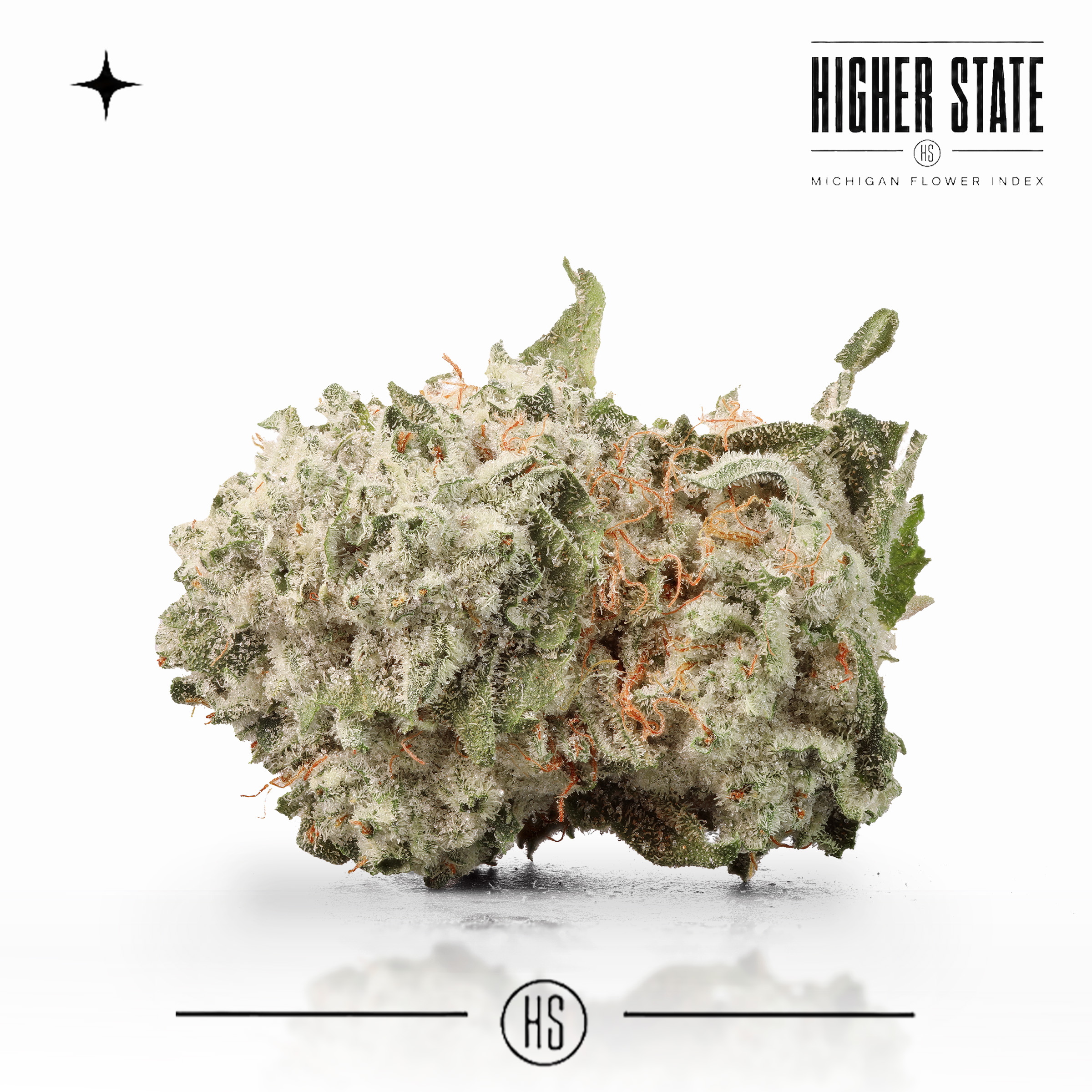 Deathstar by Narvona — whole flower
