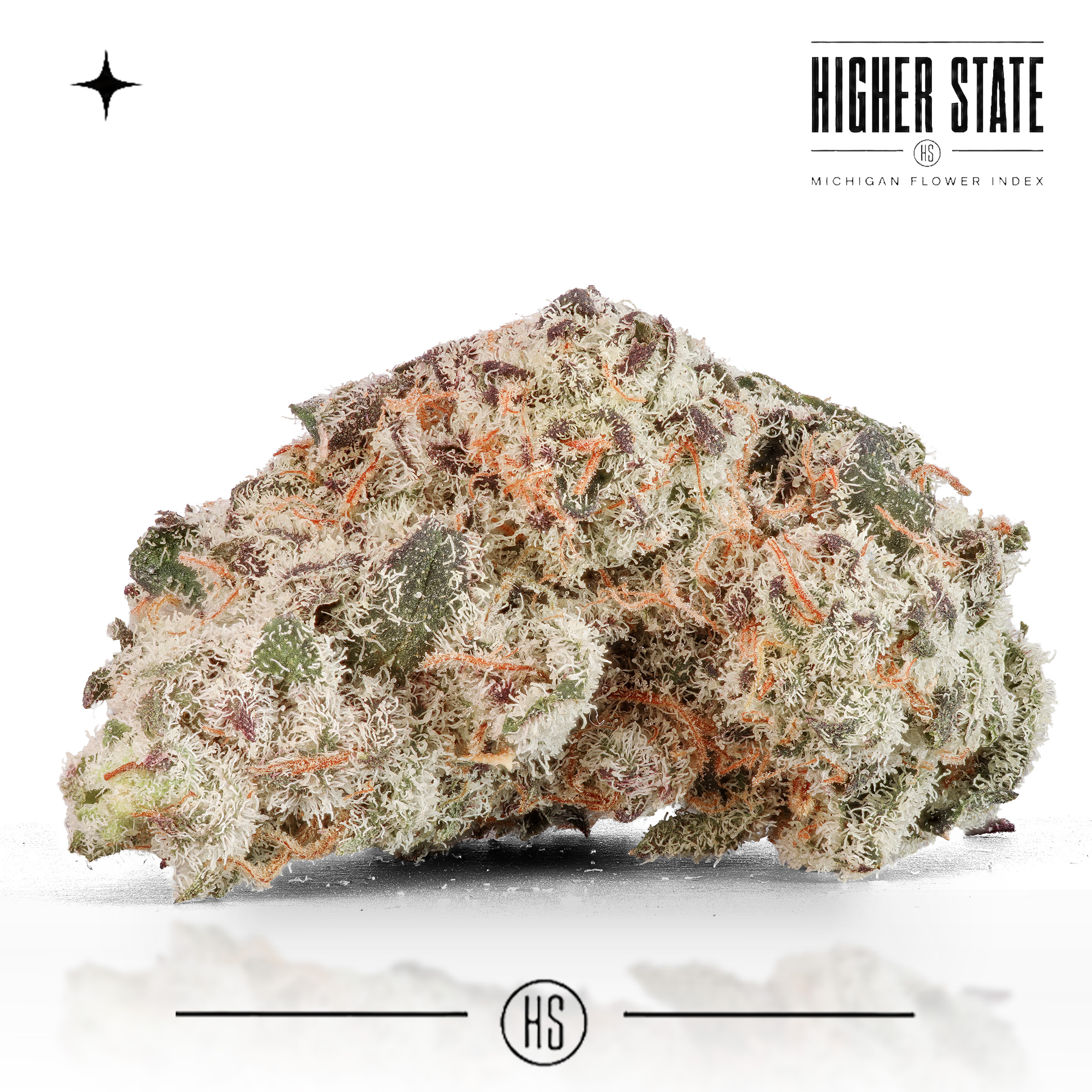 Blueberry Sugar by Primitiv — whole flower