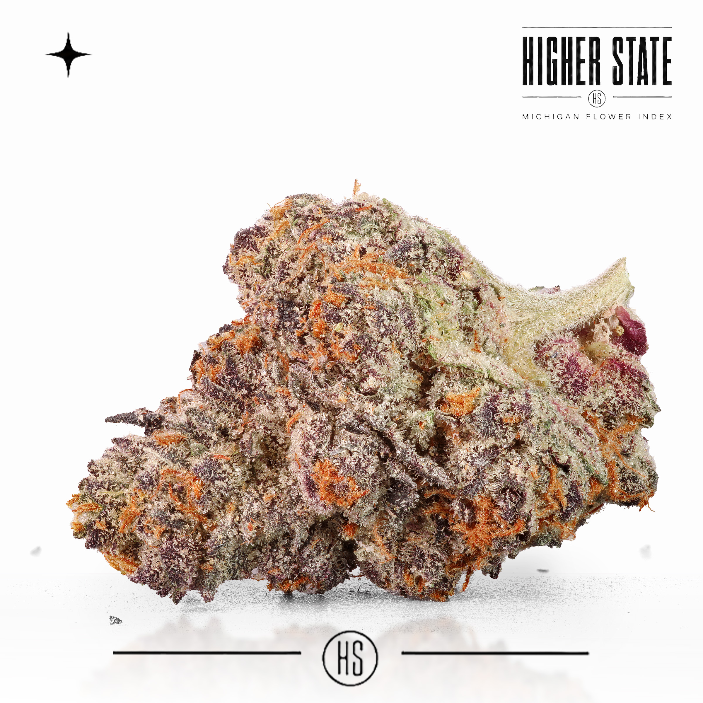 Poison Gusherz by Pro Gro — whole flower